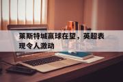 GOGO体育在线注册-莱斯特城赢球在望，英超表现令人激动