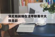 GOGO体育在线注册-突尼斯前锋在法甲联赛中大放异彩
