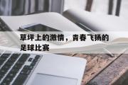 GOGO体育在线注册-草坪上的激情，青春飞扬的足球比赛