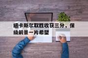 GOGO体育在线注册-纽卡斯尔取胜收获三分，保级前景一片希望