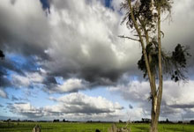 GOGO体育在线注册-TheShy意外战胜瑞士队，刷新纪录引爆全场！